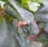 348740 – Photo : Tatiana DENEGRI – France (83)